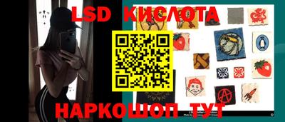винт Сланцы