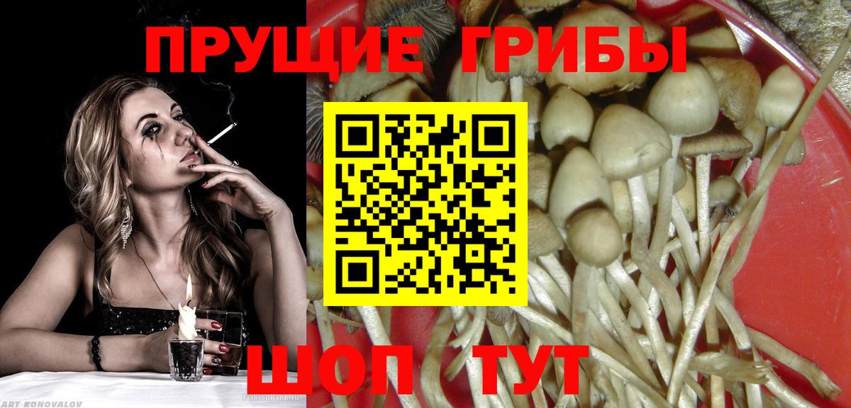 Псилоцибиновые грибы Magic Shrooms  Галлюциногенные грибы Magic Shrooms  Вход с VPN  Новороссийск 